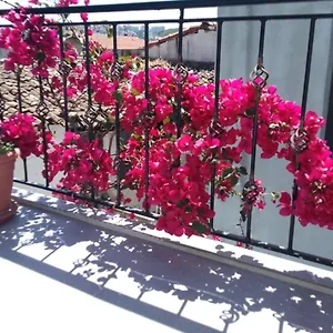 Casa Magnolia Boutique Kuşadası